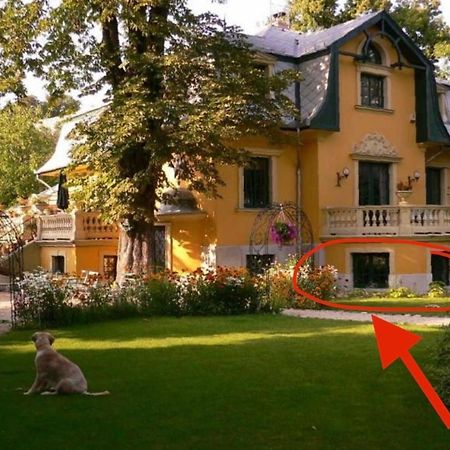Buda Hills Villa Apartment Budapest Ngoại thất bức ảnh