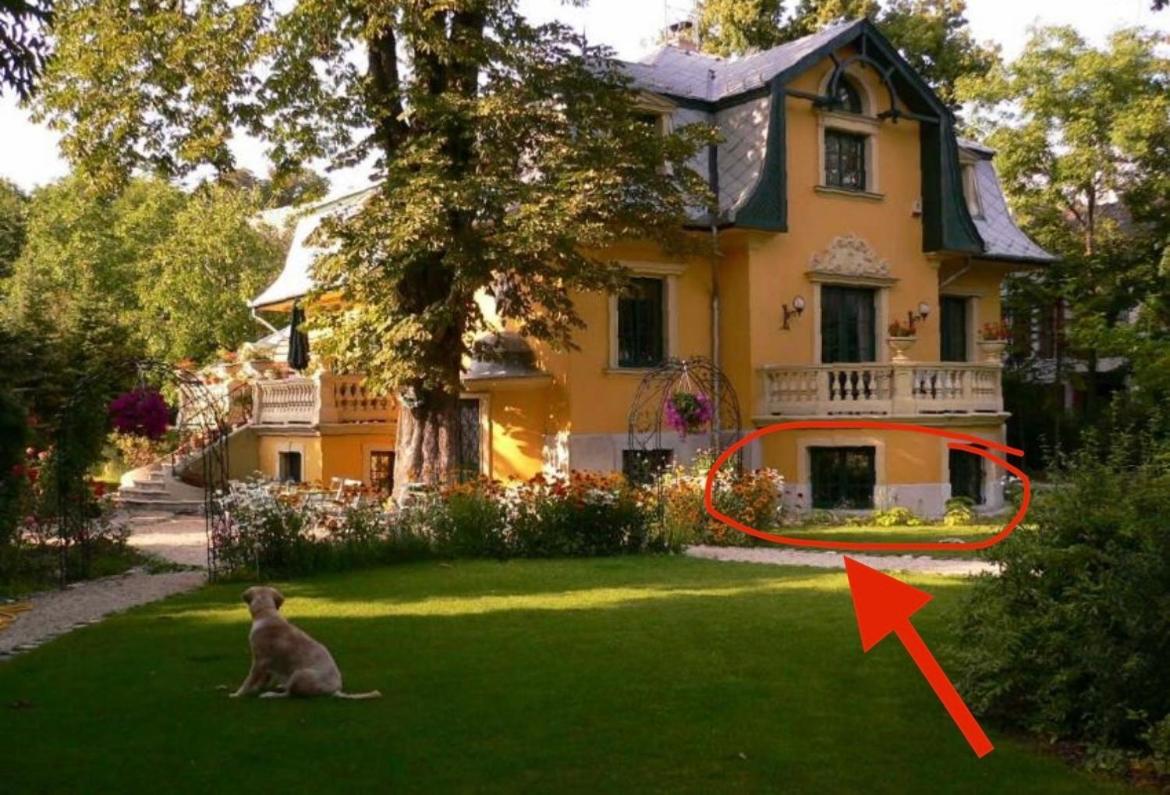 Buda Hills Villa Apartment Budapest Ngoại thất bức ảnh